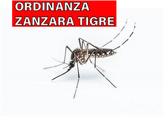 Zanzare 2024